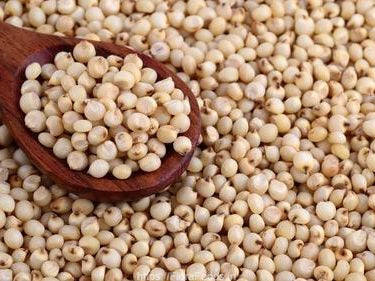 IB Jowar/Sorghum Millet